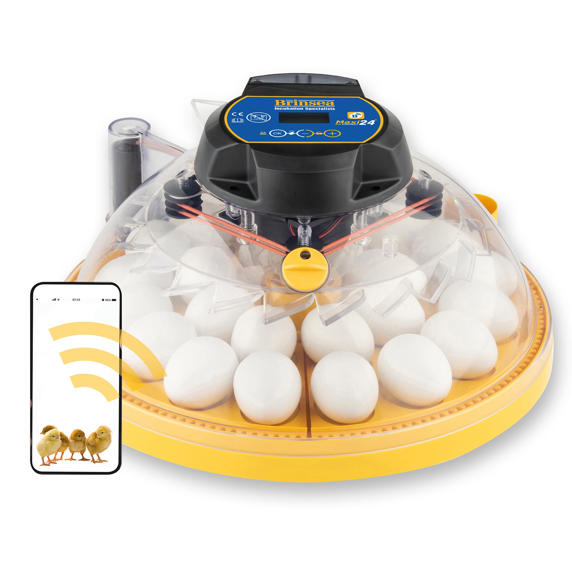 Incubadora Brinsea Maxi 24 EX Connect – Incubadora para 24 huevos de gallina con control completo mediante aplicación móvil.