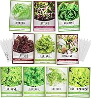 Gardeners Basics Heirloom Lettuce Seeds Variety Pack - 10 Types, 23,000 Non-GMO Seeds for Indoor/Outdoor Salads (Romaine, Buttercrunch, Iceberg & More)