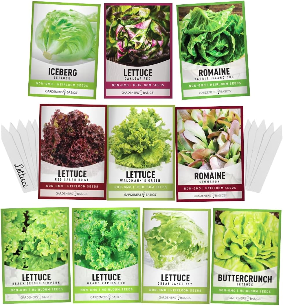 Salad Greens Lettuce Seeds Heirloom Vegetable Seed 23,000 Seeds for Planting Indoors and Outdoor 10 Packs - Buttercrunch, Romaine, Iceberg, (and More) Leaf and Head Variety Pack