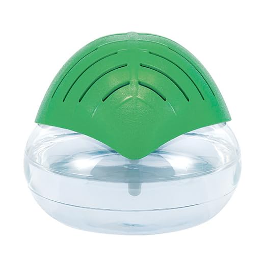 Are Air Purifiers Worth the Money?