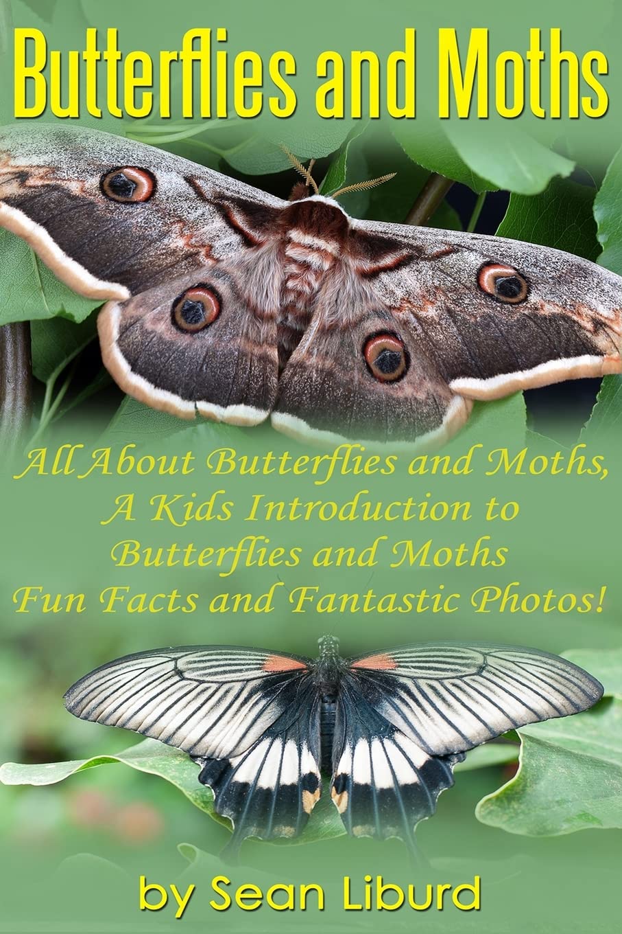 Butterflies and Moths:: All about Butterflies and Moths, a Kids Introduction to Butterflies and Moths–Fun Facts and Fantastic Photos!