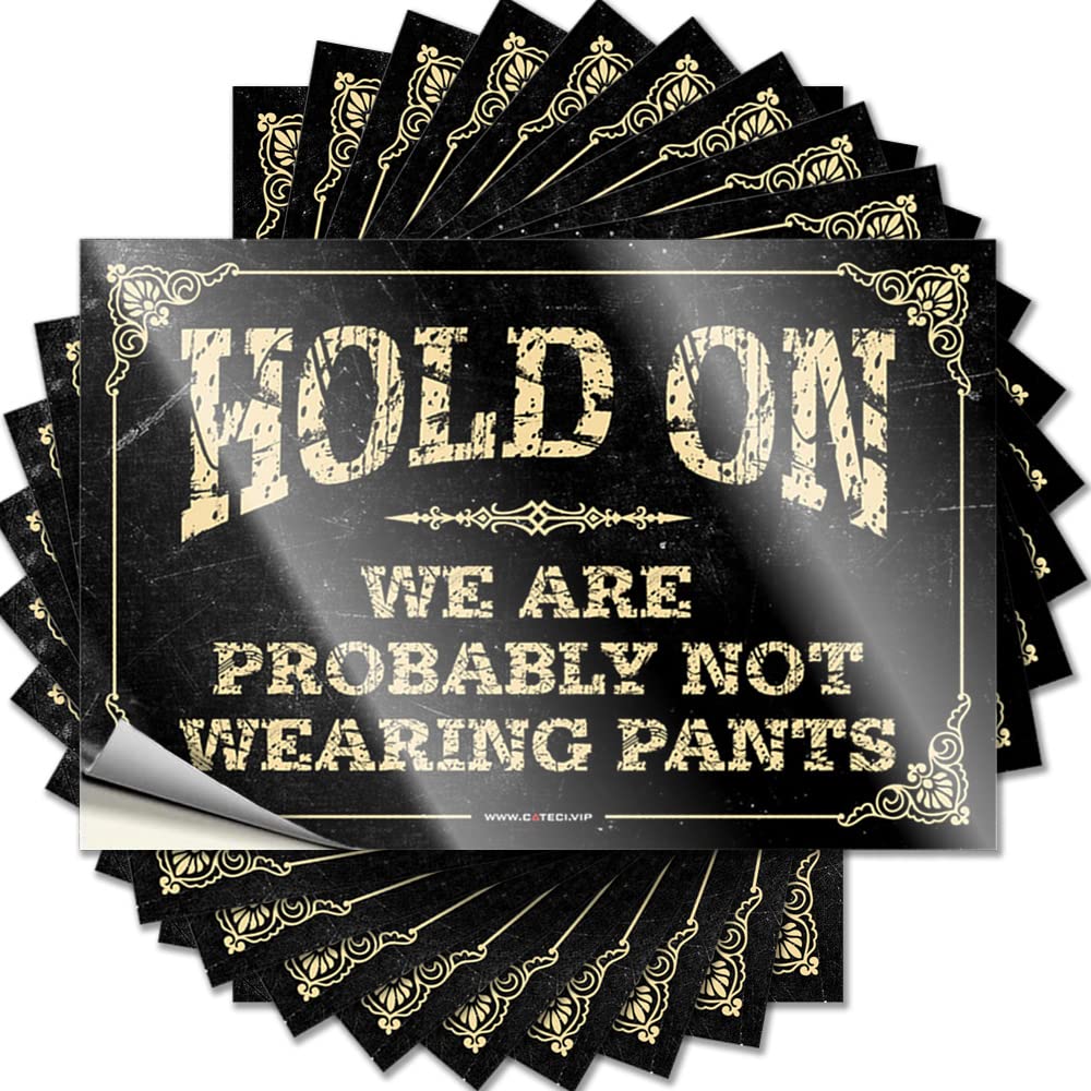Tiki Bar Decor Helmet Sticker - Hold On We're Probably Not Wearing Pants Snarky Durable Sticker Easy Apply for Coffee Decor(12X18CM)