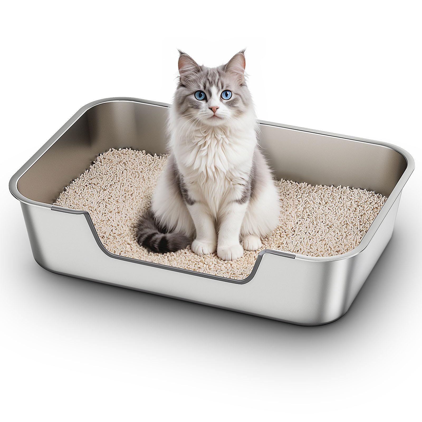 Qiuma Large Stainless Steel Low Entry Box