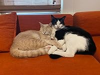 Review Image by Jennifer Farrior Jennifer Farrior