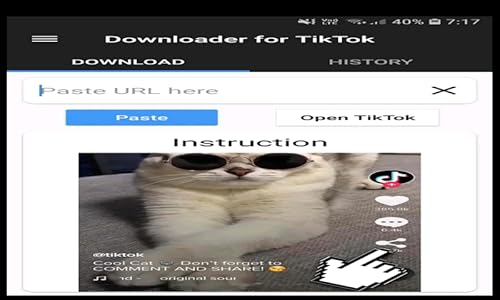 Downloader for Tik Tok