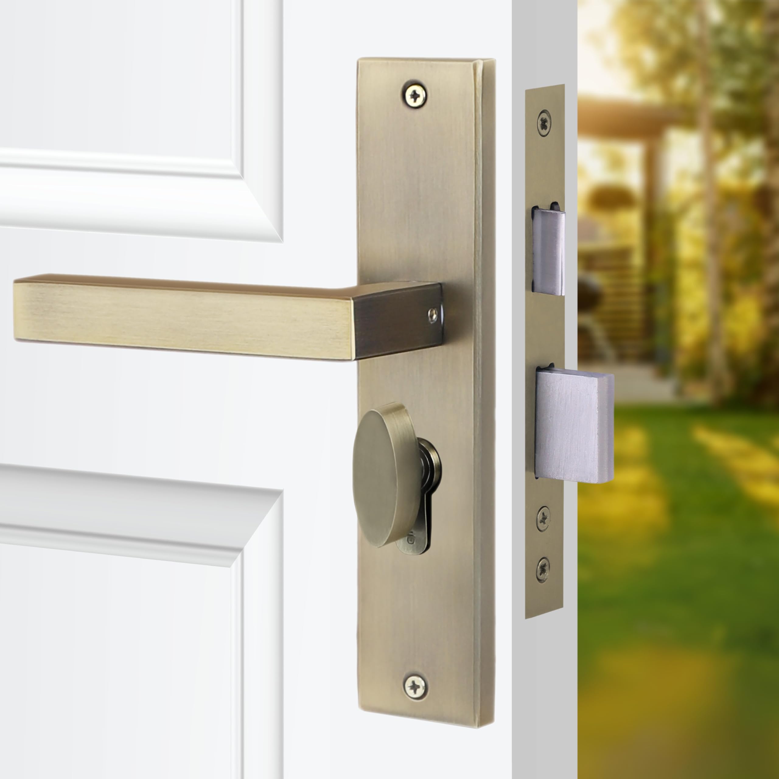 Blue Space Premium 8" Cylindrical Plate Mortise Door Lock Handle Set/Mortise Lock with Brass Lock Body and One Side Key 60mm Brass Cylinder Set with 3 Brass Computer Keys (LB201, Antique)