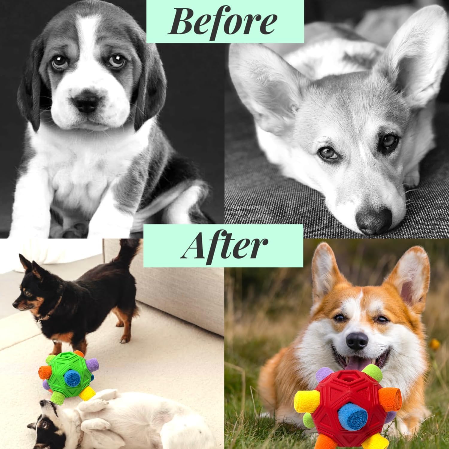 Schnüffelball für Hunde Hundespielzeug Unzerbrechlich Upgrade Ball Interaktives Spielzeug Snuffle Tragbarer Haustier Puzzle Snuffle Ball Toy für Kleine Mitte Groß Hunde (Rot Regenbogen)