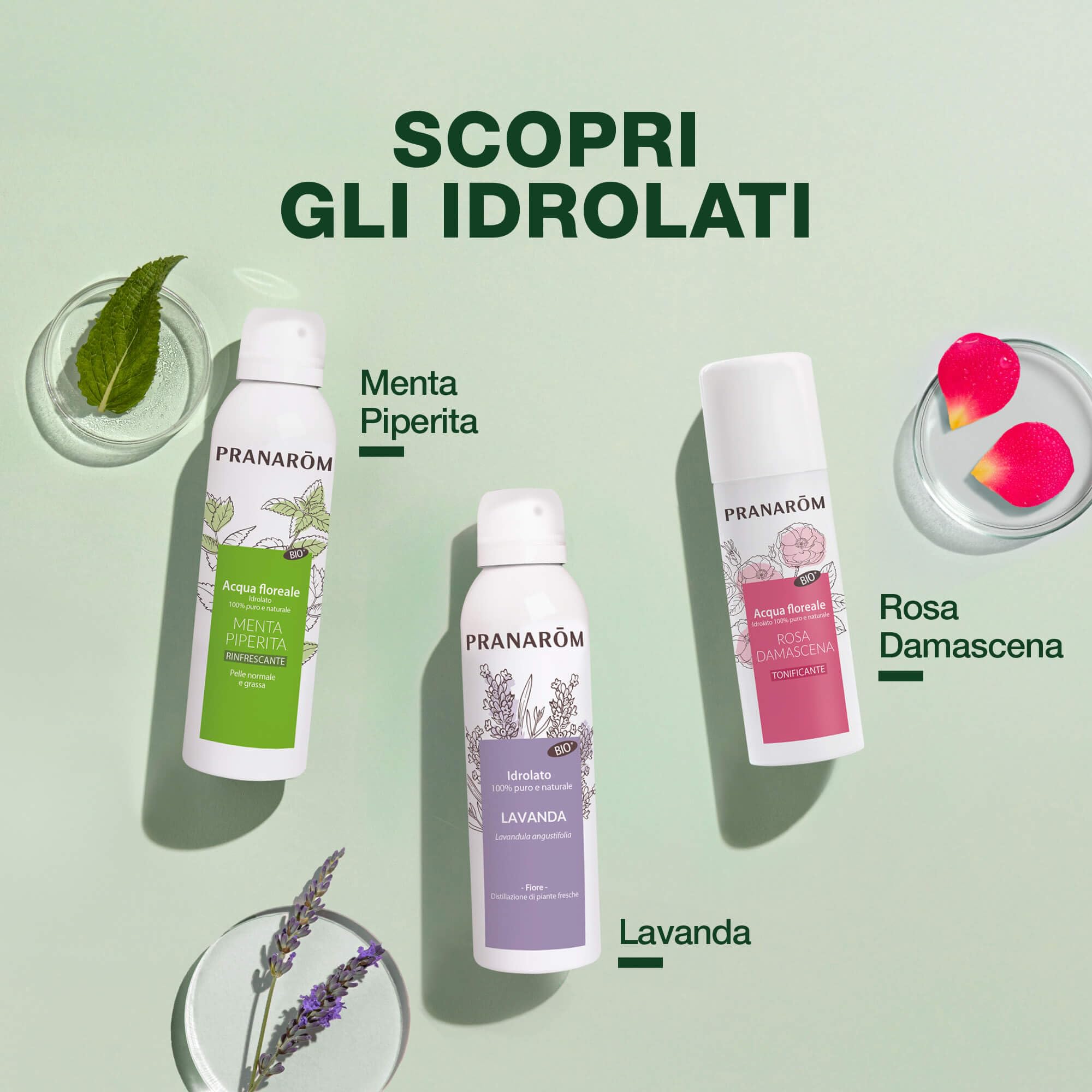 Pranarôm - Idrolato Camomilla Nobile Bio 150 ml, Lenisce Occhi Gonfi e Stanchi, Decongestiona, Ideale per Pelle Sensibile e Capelli Chiari, 100% Puro e Biologico, Senza Alcool e Conservanti