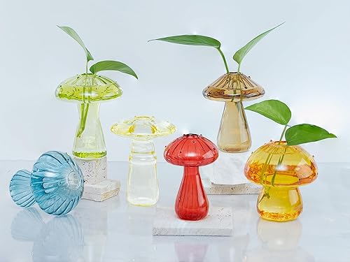 Juego de 6 estaciones de propagación de plantas de colores, mini terrario para plantas,