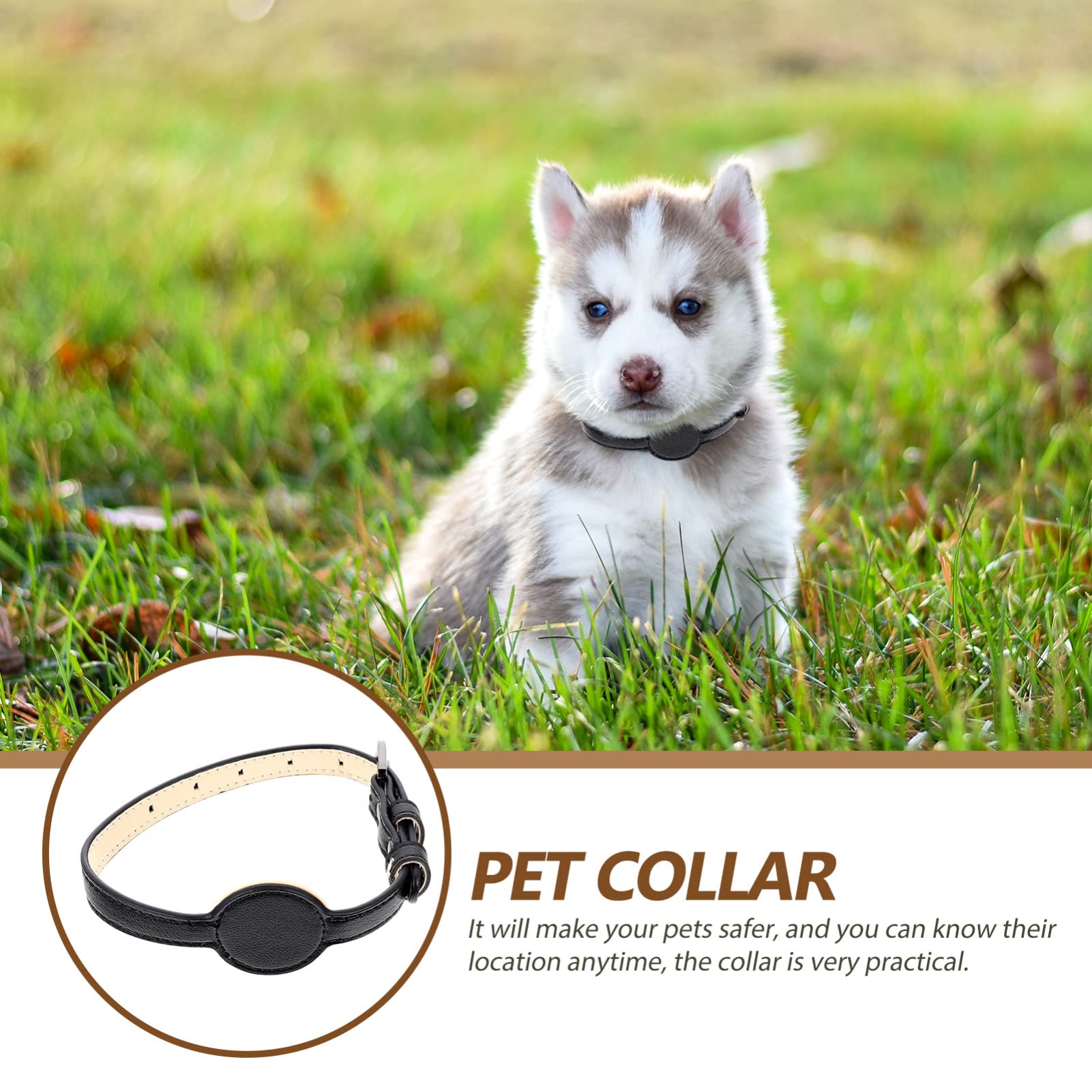 FRCOLOR 5stücke Katzenhalsband Mit Sicherheitsfunktion Verstellbares Tracer-Design Für Haustiere Geeignet Für Und Outdoor-aktivitäten Aus Langlebigem Pu-Material Komfortabel Und Leicht