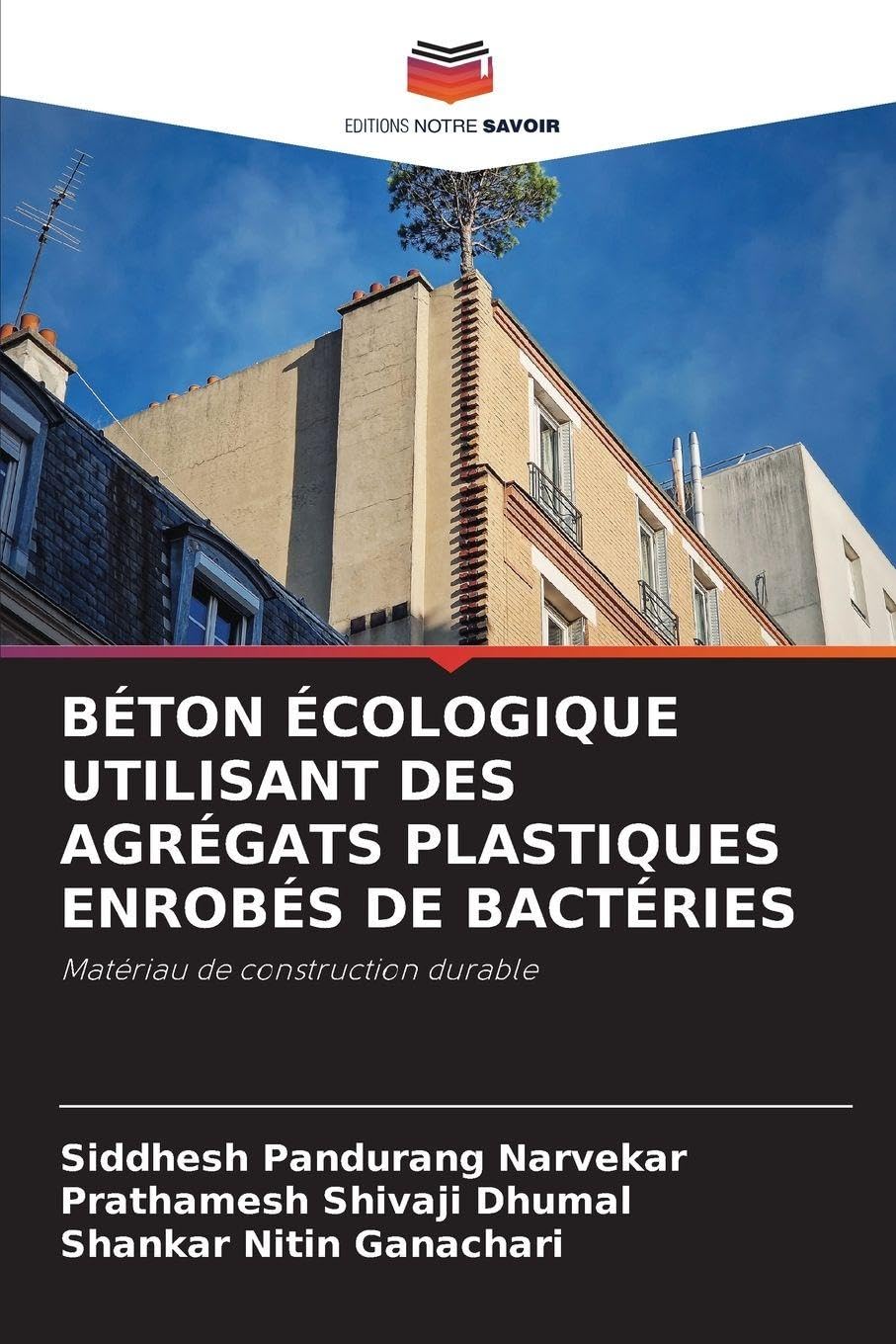 Béton Écologique Utilisant Des Agrégats Plastiques Enrobés de Bactéries: Matériau de construction durable