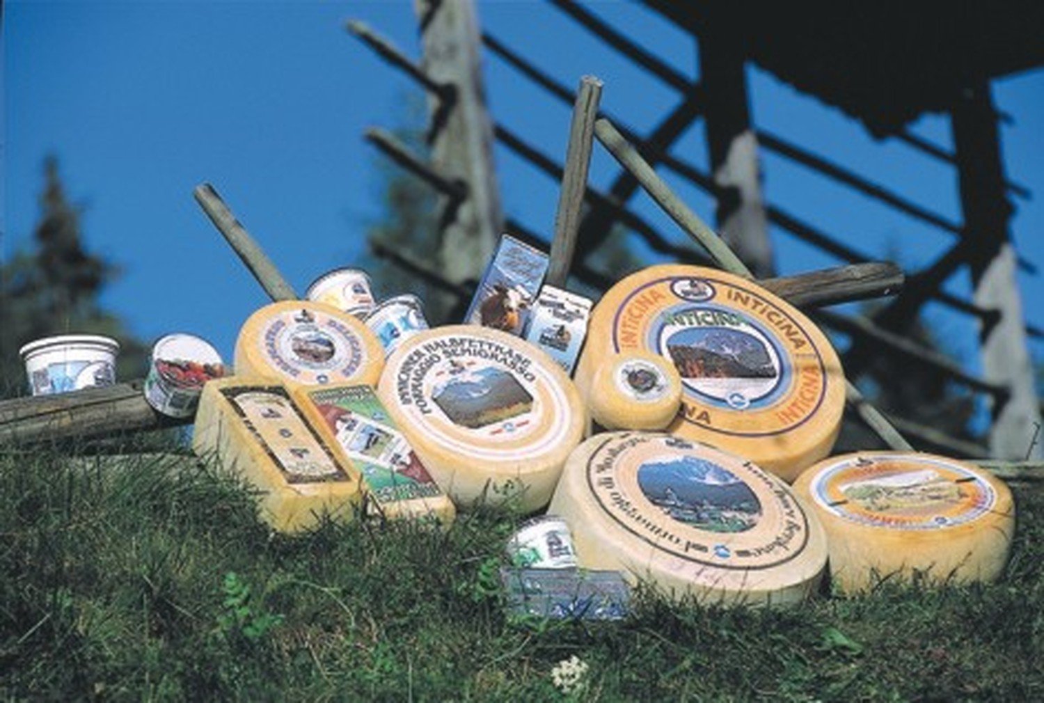 Formaggio Stanga di Dobbiaco intera forma ca. 5,4 kg.