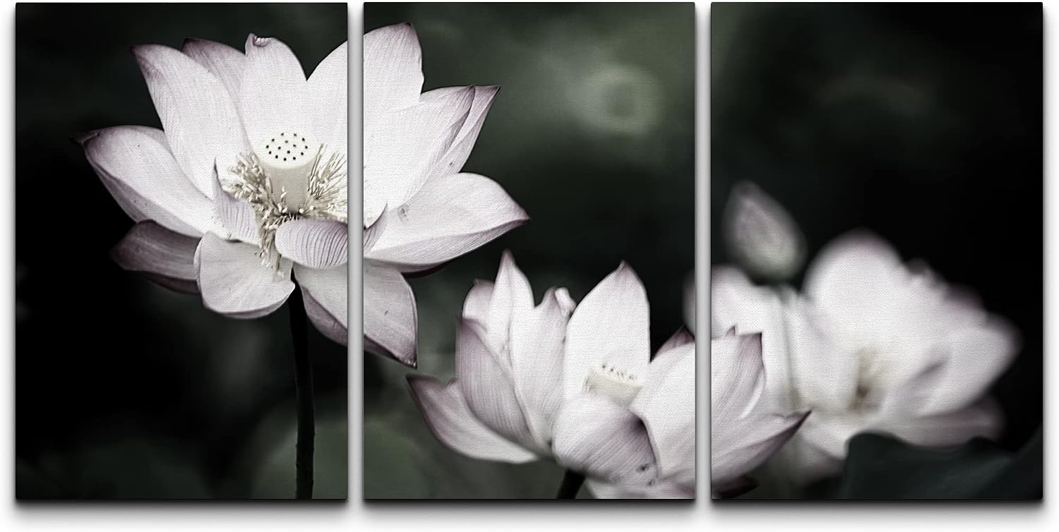 wall26 - Beautiful Lotus Background - Canvas Art Wall Art - 16"x24"x3 Panels