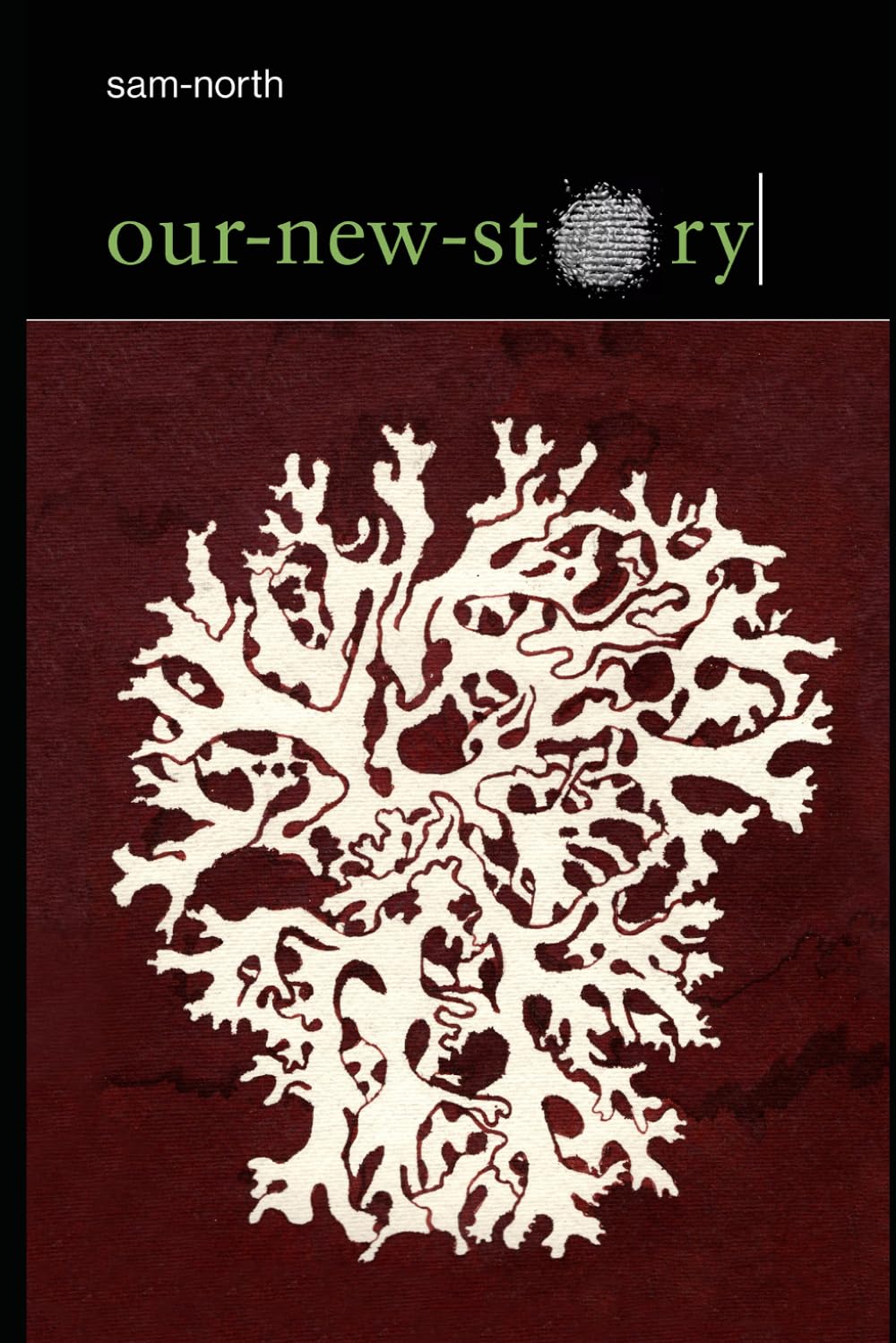 our new story: an essay