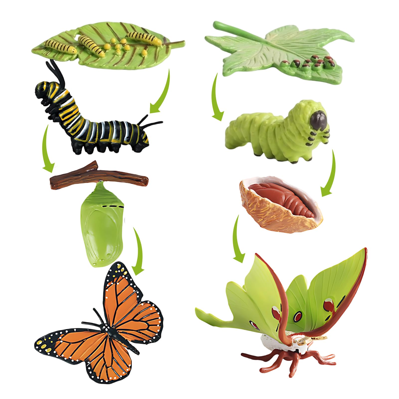 XcnPer 8-Piece Butterfly Kit, Butterfly Kits with Live Caterpillars, Larva to Winged Insect Life Cycle, Educational Science Collection, Nature Study Specimen