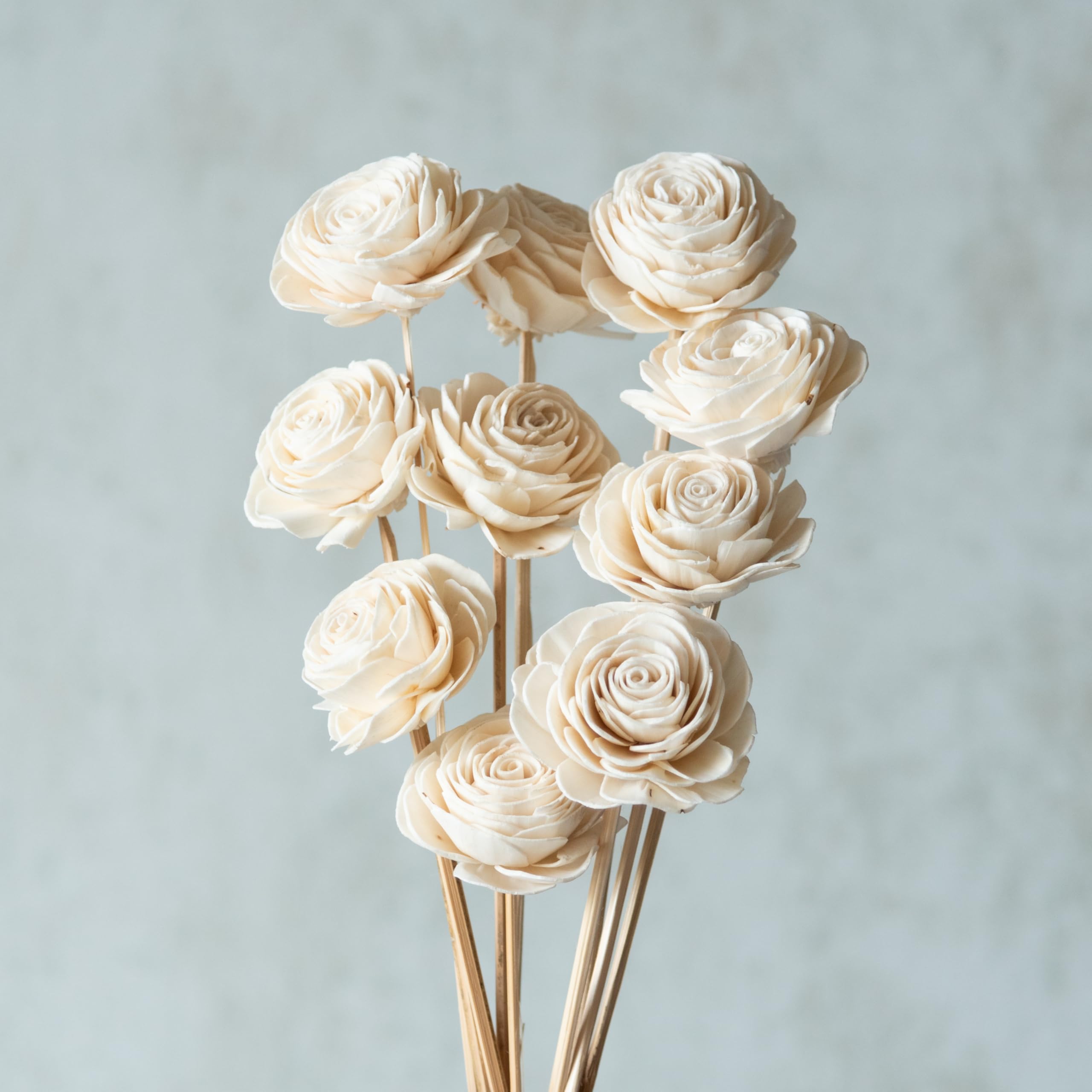 Flowers and Fillers ||White Sola Beauty Rose 8 cm On Stem (10 Sticks) | Natural Dried Flower |Eco-Friendly Flowers for Home, Office, Bedroom, Table Decoration and Craft Items Corner (Without Vase Pot)