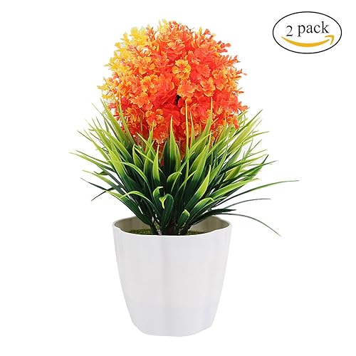 Snowball Flower Amazon Com