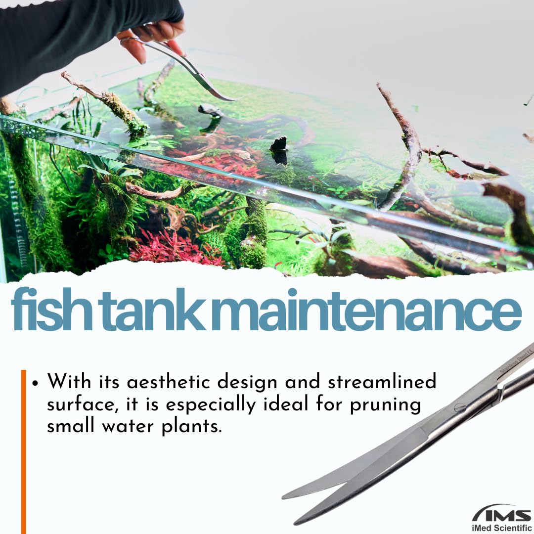 Aquatop 38201428: Plant, Cabomba Green 6In