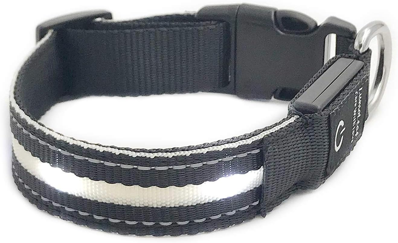 LumoLeaf LED Light up Dog Collar, Cool BLACK, Small 11-15.7" / 28-40 cm, USB Rechargeable with Weather Resistance Flashing Lights, Reflective Nylon Belt, 5 colors / 3