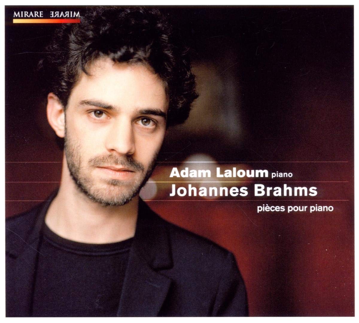Johannes Brahms: Pieces Pour Piano