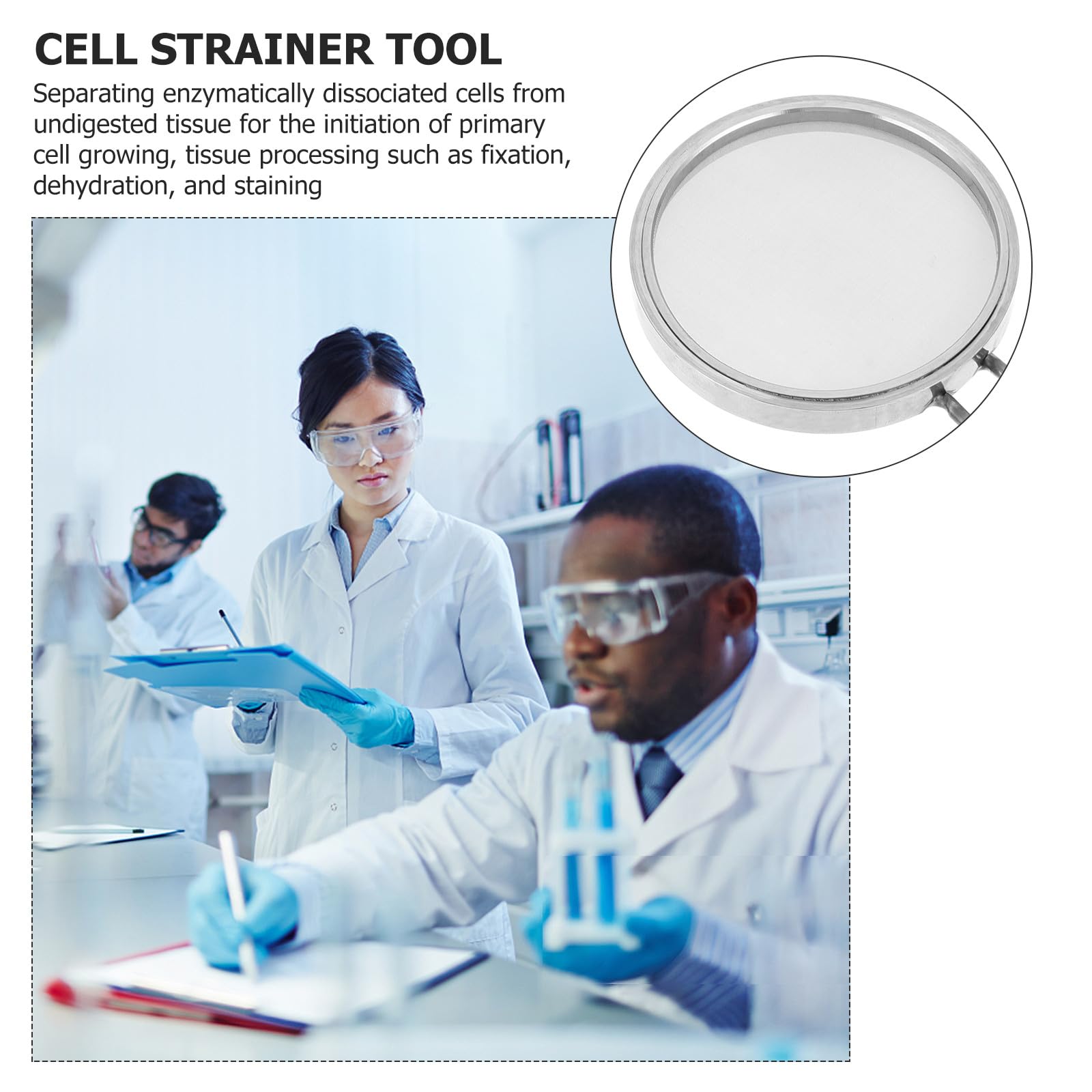 Filtre à Cellules 200 Mesh Tamis Laboratoire Inox Conique pour Tamisage Fin et Séparation Cellulaire Lors d'Expériences en Laboratoire Biologique
