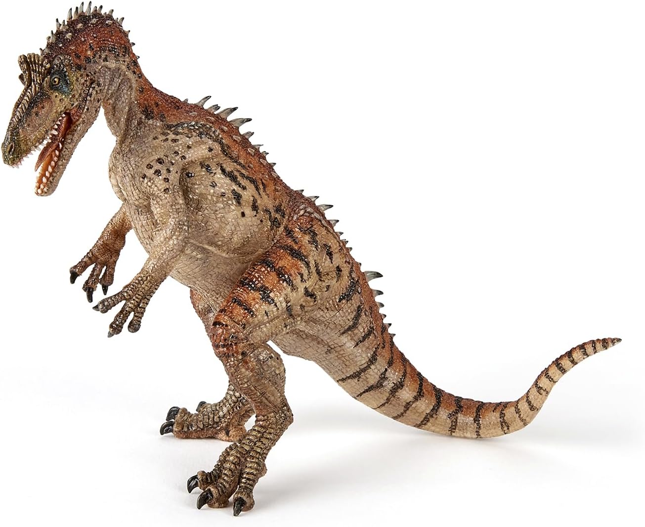 Papo - Realistic Cryolophosaurus Dinosaur Figure - Ages 3+ - Dinosaurs Collection - Educational Play Carnivorous Dinosaur - Gift Idea Toy for Girls and Boys - 11.3 Cm