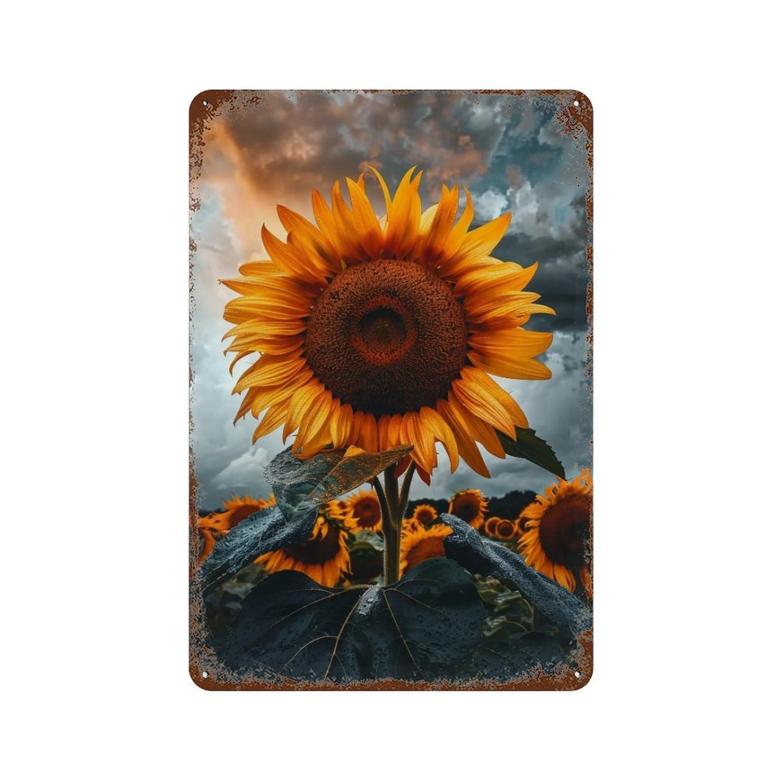 WIHYRTUI Dramatic Stormy Meadow Vibrant Yellow Bloom Scene 04 Wall Retro Iron Metal Tin Sign Vintage Art Poster Modern Home Cofffee Club Art Bar Shop Decor Style 30x20cm