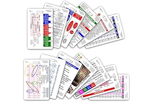 Complete EMS Vertical Badge Card Set: Essential Paramedic Accessories