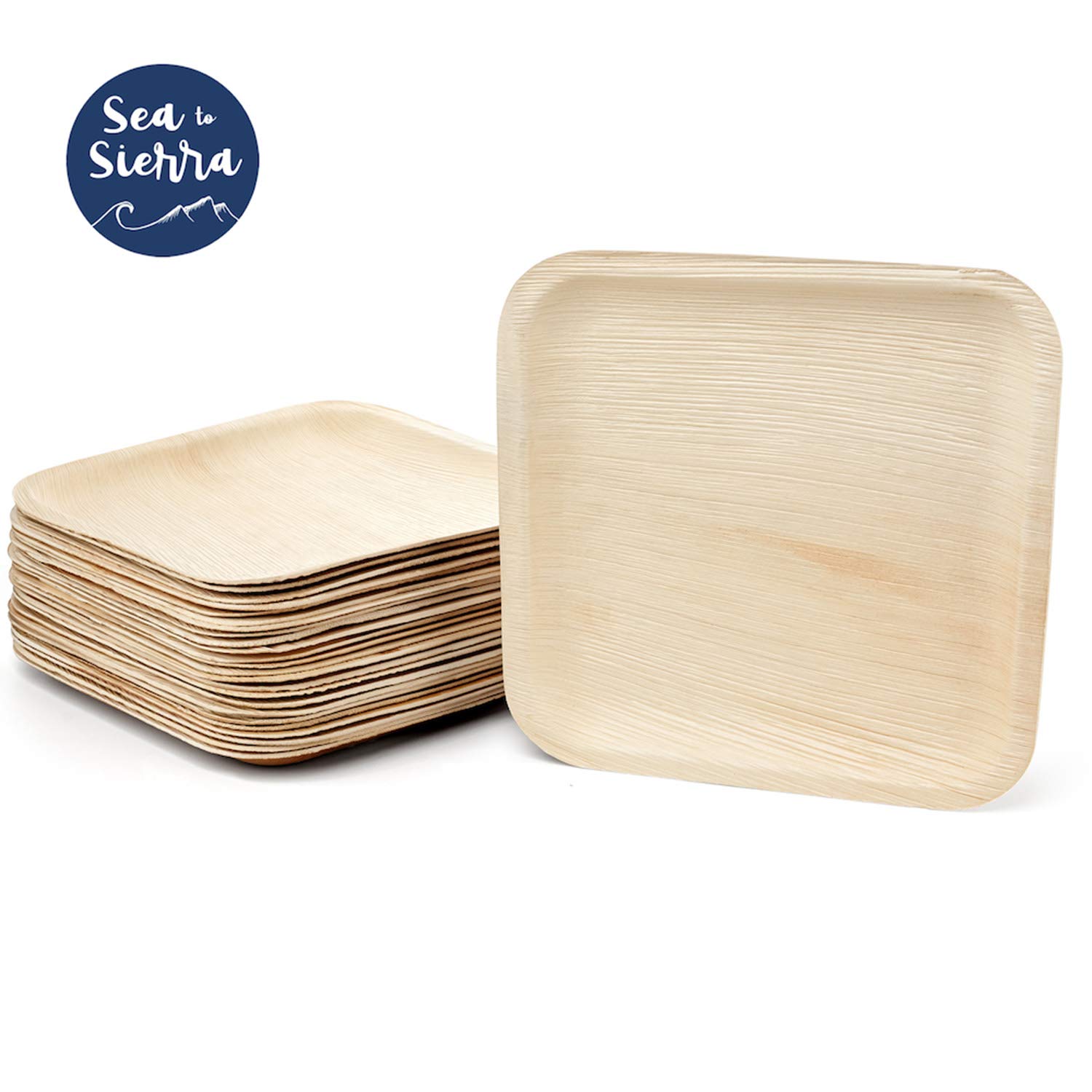 Disposable Palm Leaf Plates (Square 10" - 25 Pack) - LARGE Compostable Eco-Friendly Plates for Entrees, Main Course Dinnerware - Bamboo Style Party Plates For Weddings, Baby Showers - Sea To Sierra