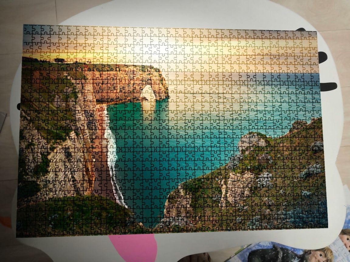 Rompecabezas Para Adultos De 1000 Piezas De Van Gogh, Noche Estrellada, Rompecabezas De Arte De Juego Familiar (28 X 20 Pulgadas