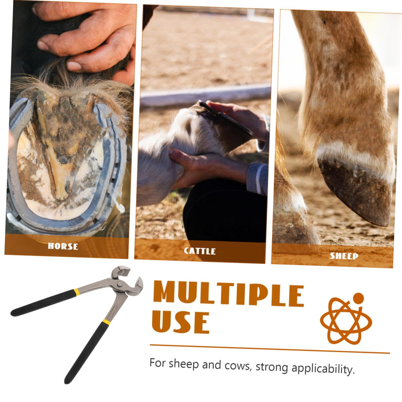Pinza per Zoccoli Multifunzione per Bovini e Ovini in Metallo 30 Cm | Sbavature, Leggera e Versatile, Colore Nero, Uso per Bovini e Ovini, Strumento da Pareggio