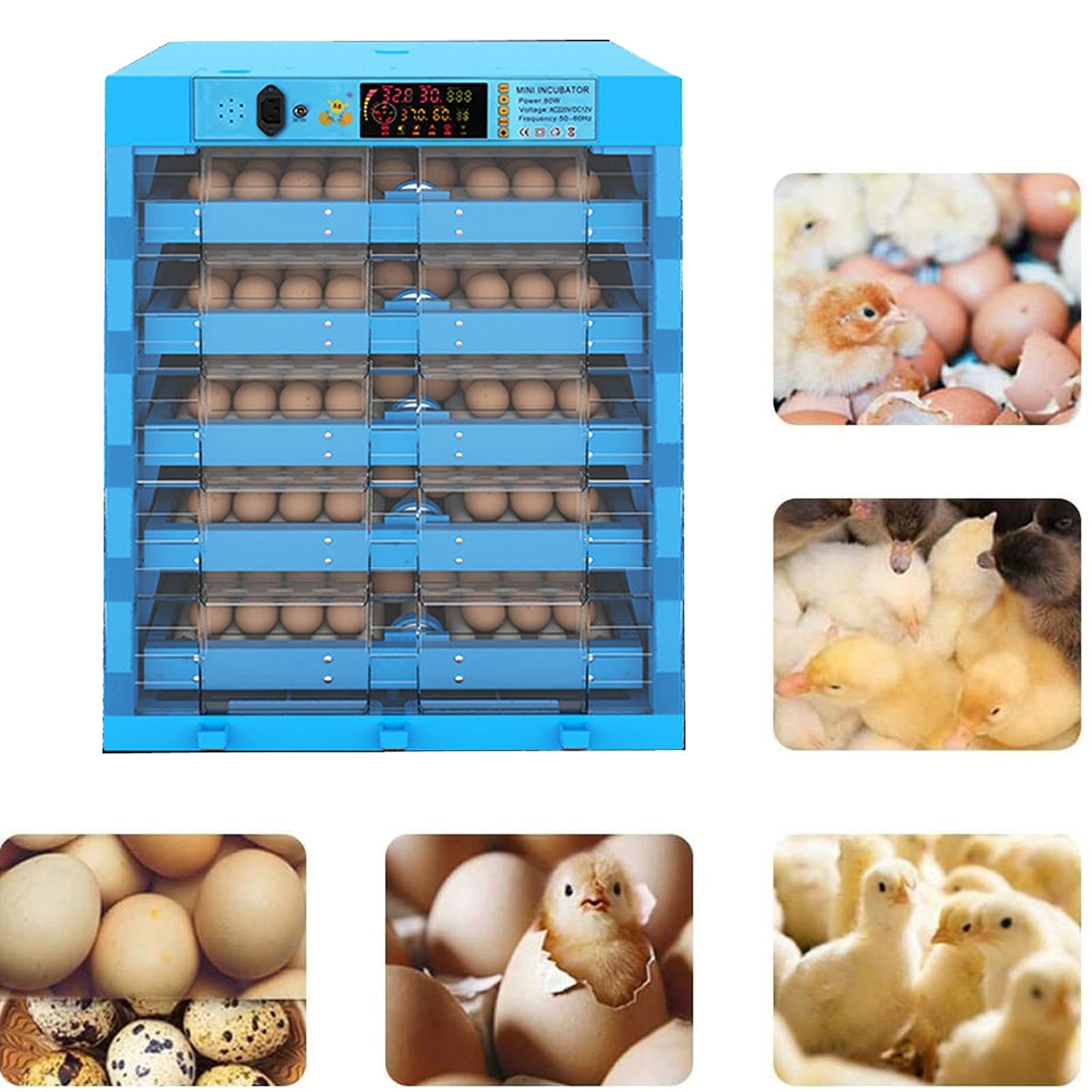 Incubatrice per Uova da 320 Griglie, Incubatrice Digitale con Girauova Integrato E Regolatore di Temperatura Intelligente per La Schiusa di Uova di Gallina, Anatra, Oca E