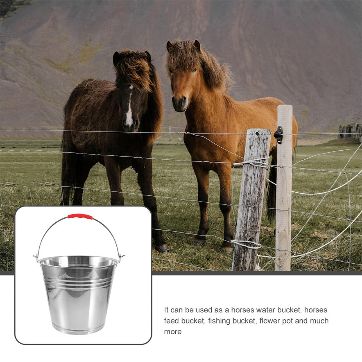 Cubo de Acero Inoxidable para Caballos 10l Asa Portátil | Plata, Fácil de Limpiar, Uso Múltiple, para Caballo y Potro, Adecuado para Agua y Alimento en Establo