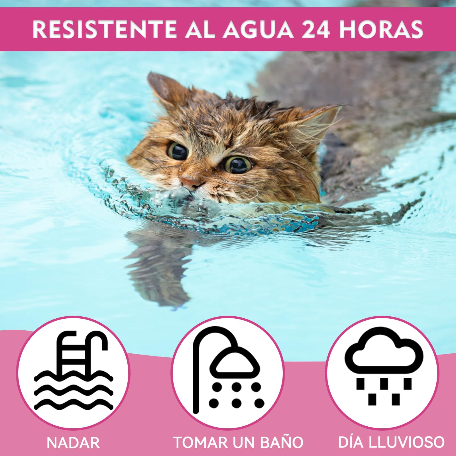 Collar Antiparasitario Gatos, Collar Antipulgas Gatos Natural, Protección 12 Meses Impermeable, Ajustable 48 cm Seguro y Cómodo para Todo Tipo de Gatos (48CM)