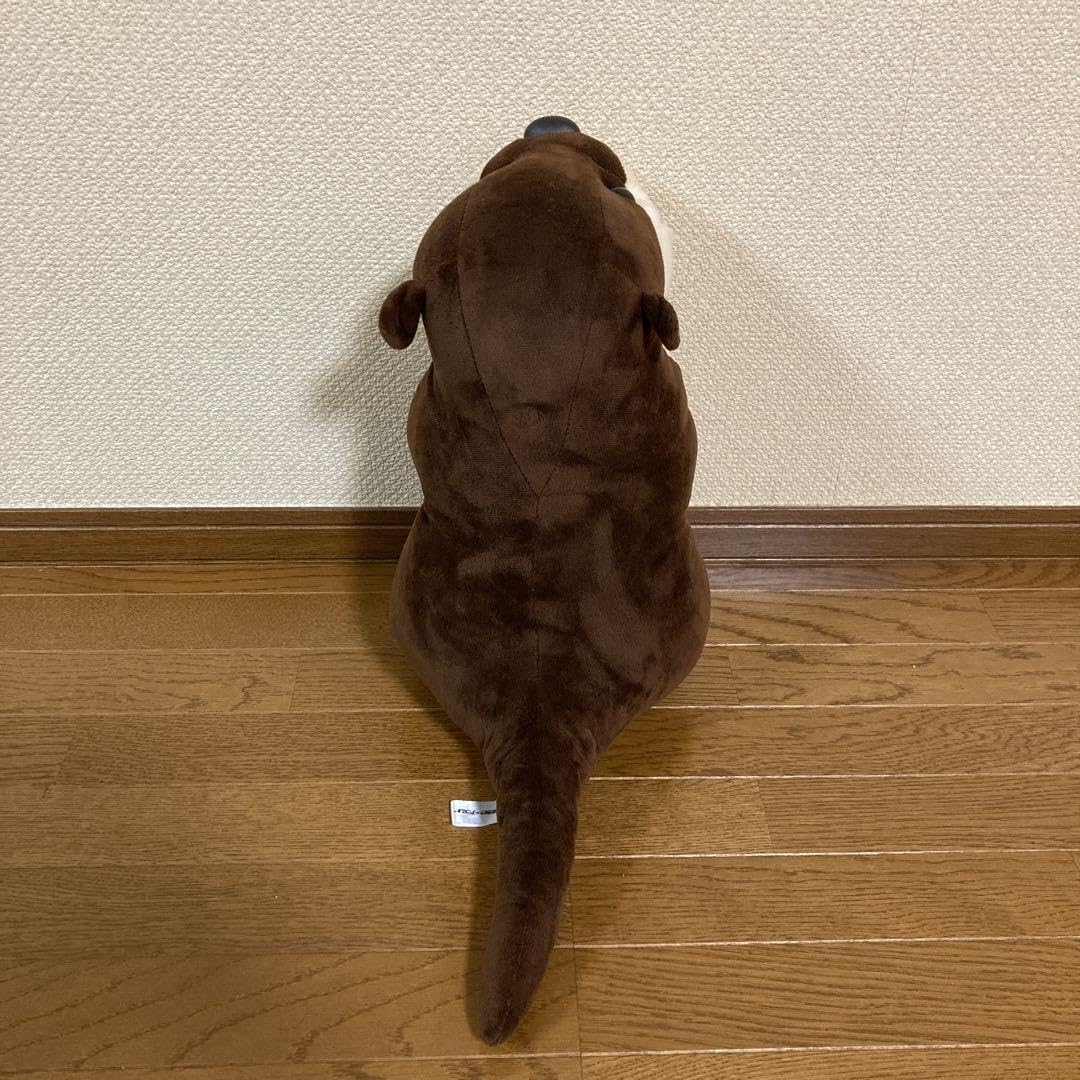 Amazon.co.jp: 今週限 格 南知多ビーチランド スベスベ カワウソ BIG