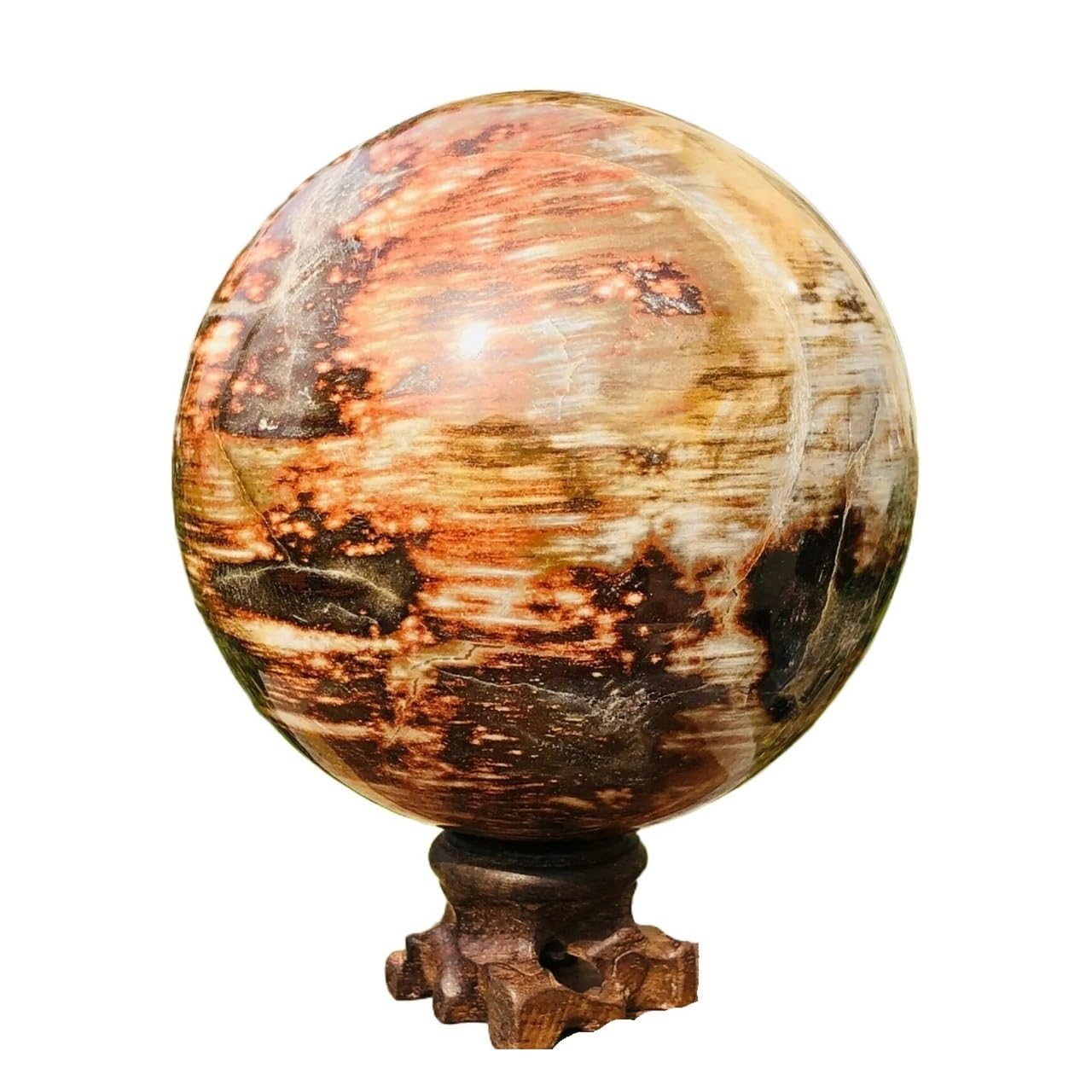 QWZTAEOZA 1pcs 750-800g Petrified Wood Crystal Ball Polished Decoration Gift