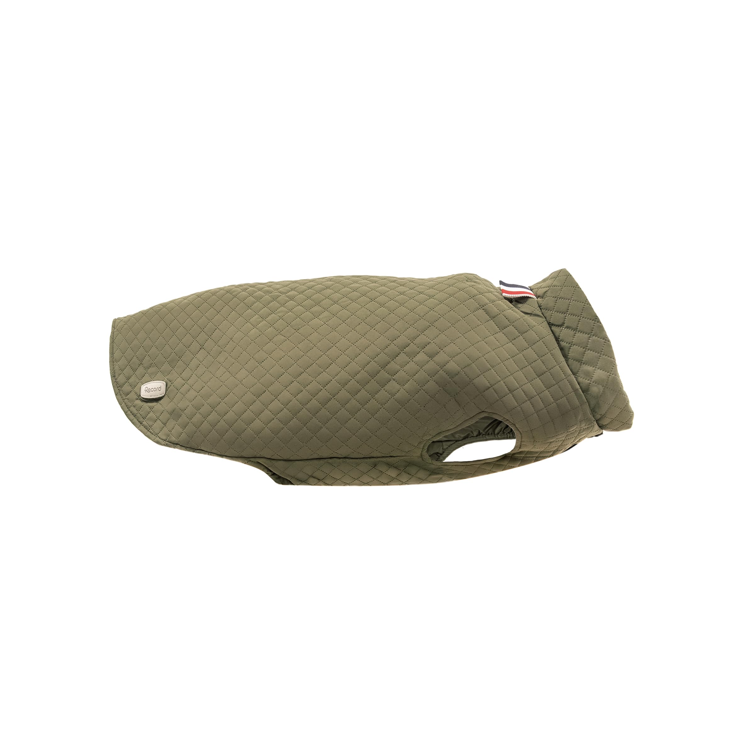 Record - Brandy Dog Raincoat with Velcro Closure and Adjustable Elastic Bands for Paws. Warm and Comfortable Winter Dog Coat | Dark Green, S, Back Length 35 cm