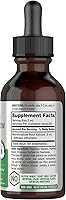 Vista 2 de Horbäach Tintura de extracto de raíz de malvavisco 2 onzas líquidas Althaea Officinalis Liquid Sin alcohol Vegetariano, sin OMG y sin gluten