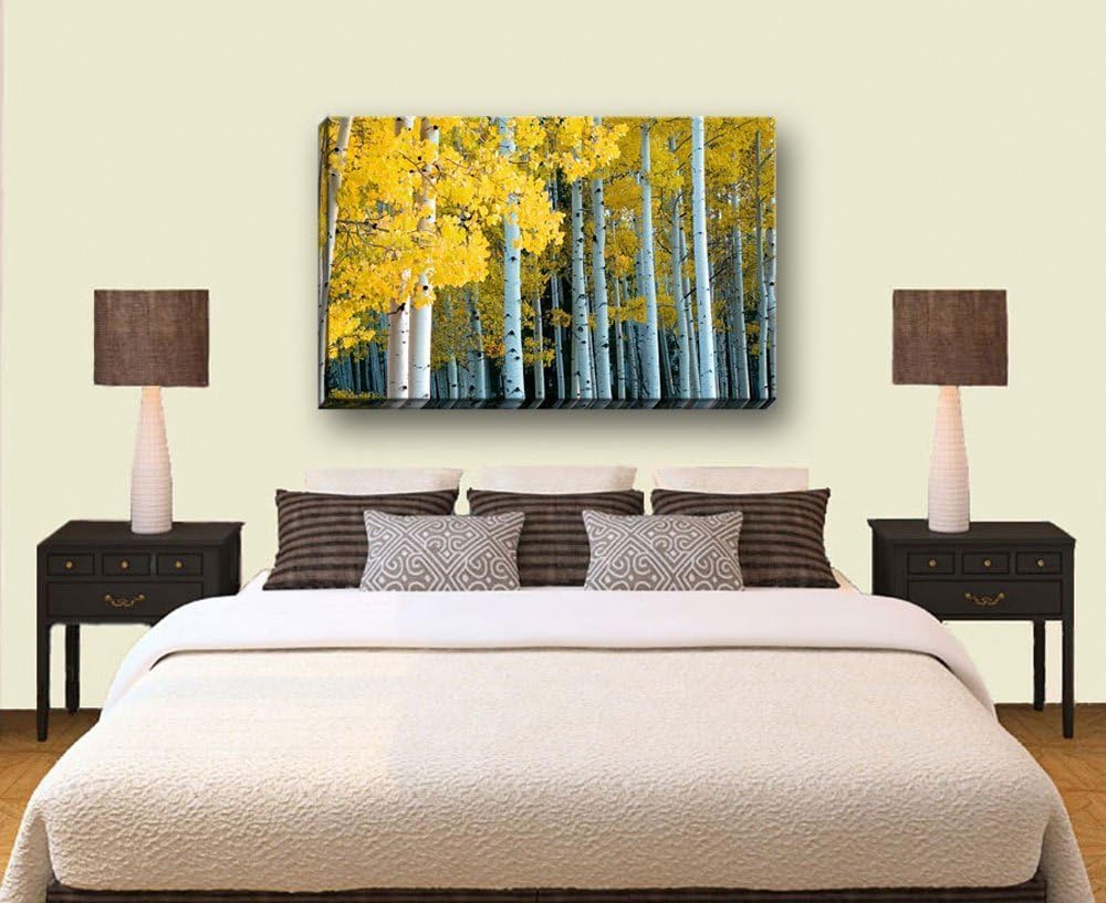 Bob Estrin Handmade Wall Art Decor Canvas Photograph of Forest of Yellow Aspen Trees During Fall and the Changing of the Leaves. Colorful Golden Yellow Foliage.