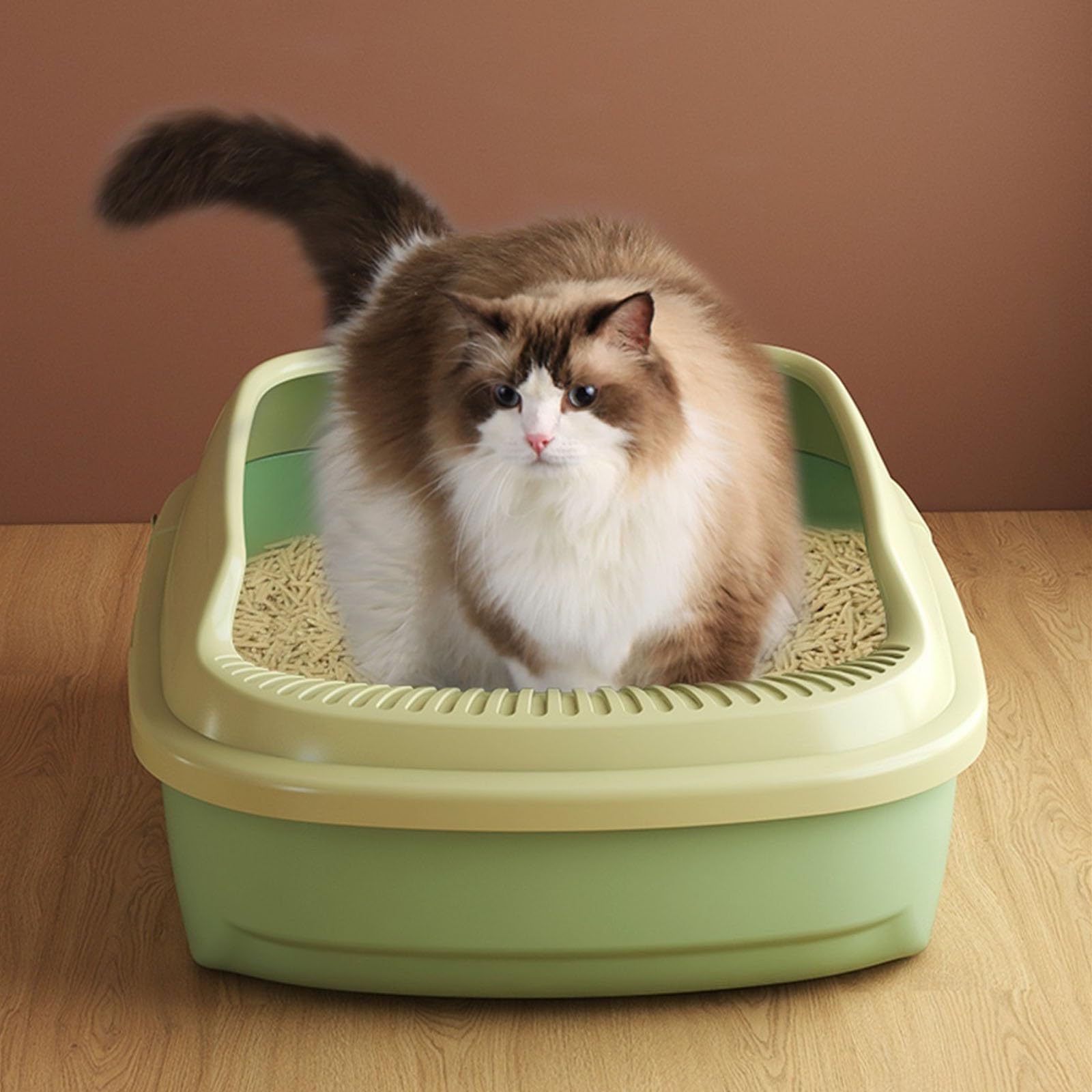 Exclusivo para Gatos y Perros Caja de Arena for Gatos con Pala, Bandeja plástico Parte Superior Abierta, Caja tamiz Lado Alto for pequeños y Grandes para Interiores(Green)