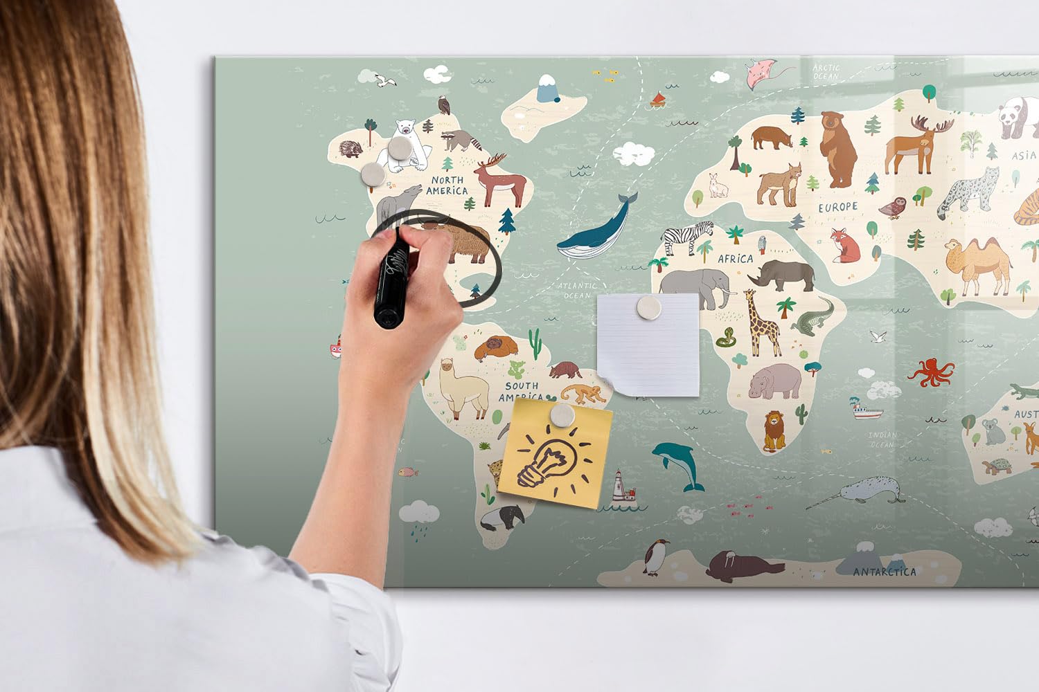 Lavagna magnetica per ufficio 120x60 cm | Mappa degli animali del mondo