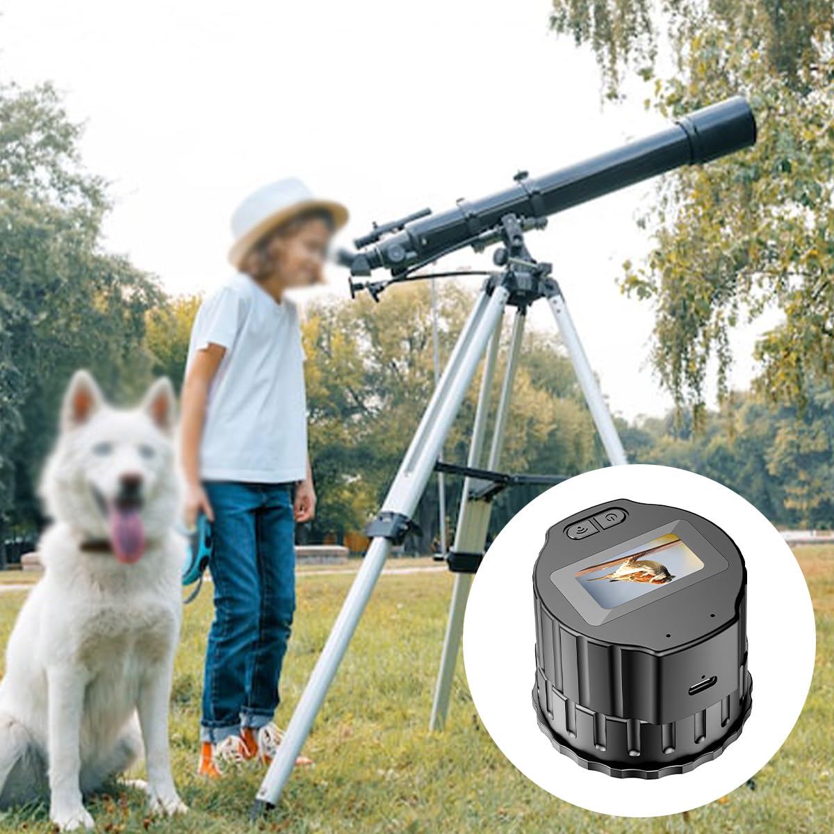 Alide Telescopio con oculare WiFi, telescopio elettronico wireless HD, cannocchiale portatile per birdwatching