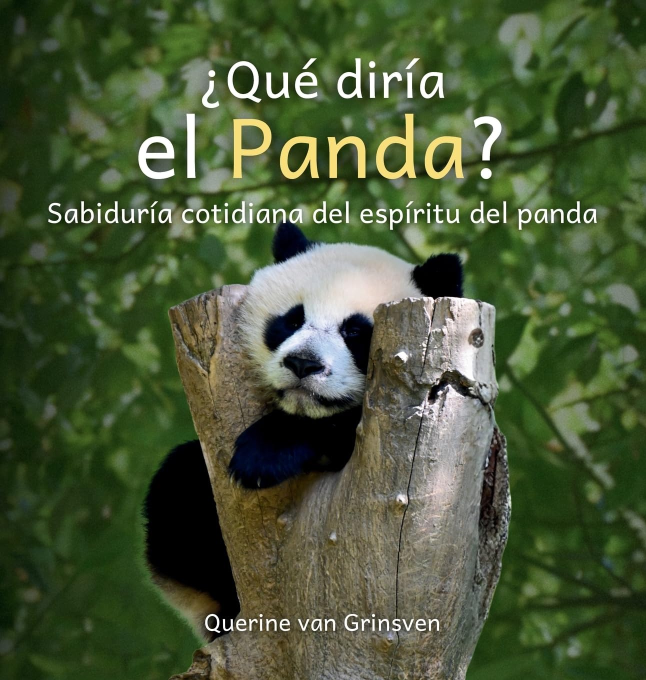 ¿Qué diría el Panda?: Sabiduría cotidiana del espíritu del panda: 1