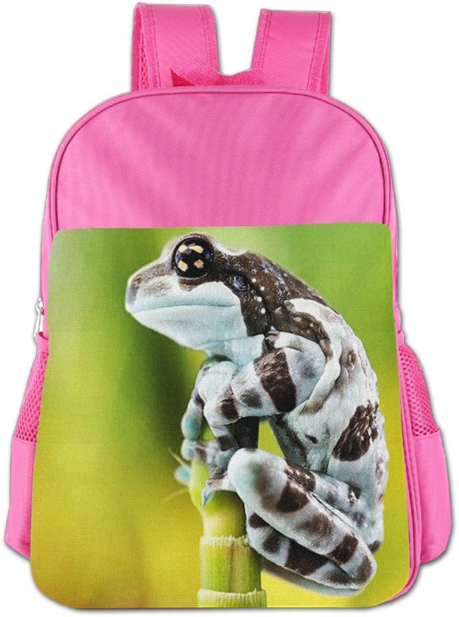Amazon River Bullfrog Summer School Children's Backpack 3D Print Child Shoulder Bag