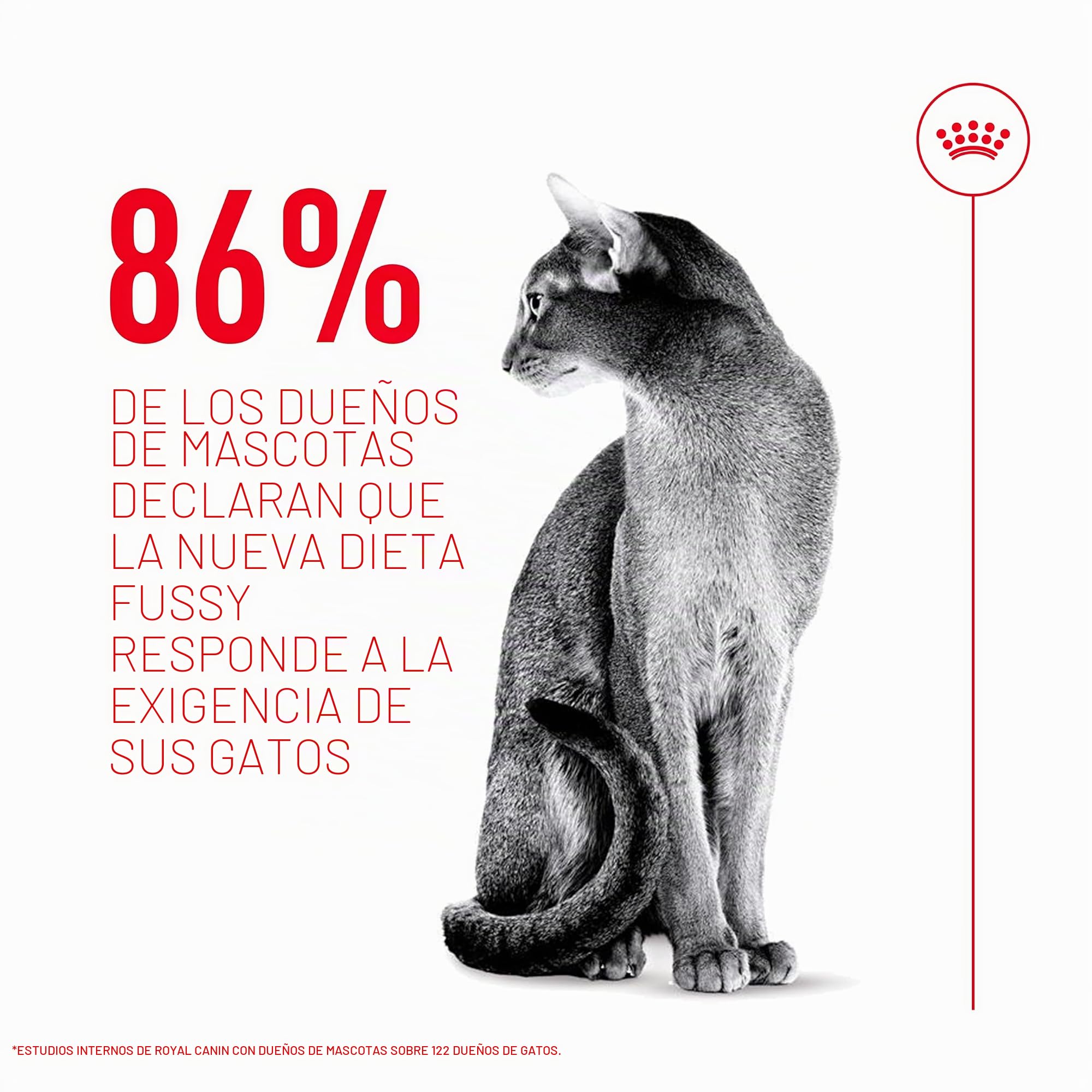 Royal Canin Fussy Exigent | 4 kg | Alimento Completo para Gatos Adultos exigentes | Combinación de Aromas y Forma Especial de croquetas | Alto en proteínas