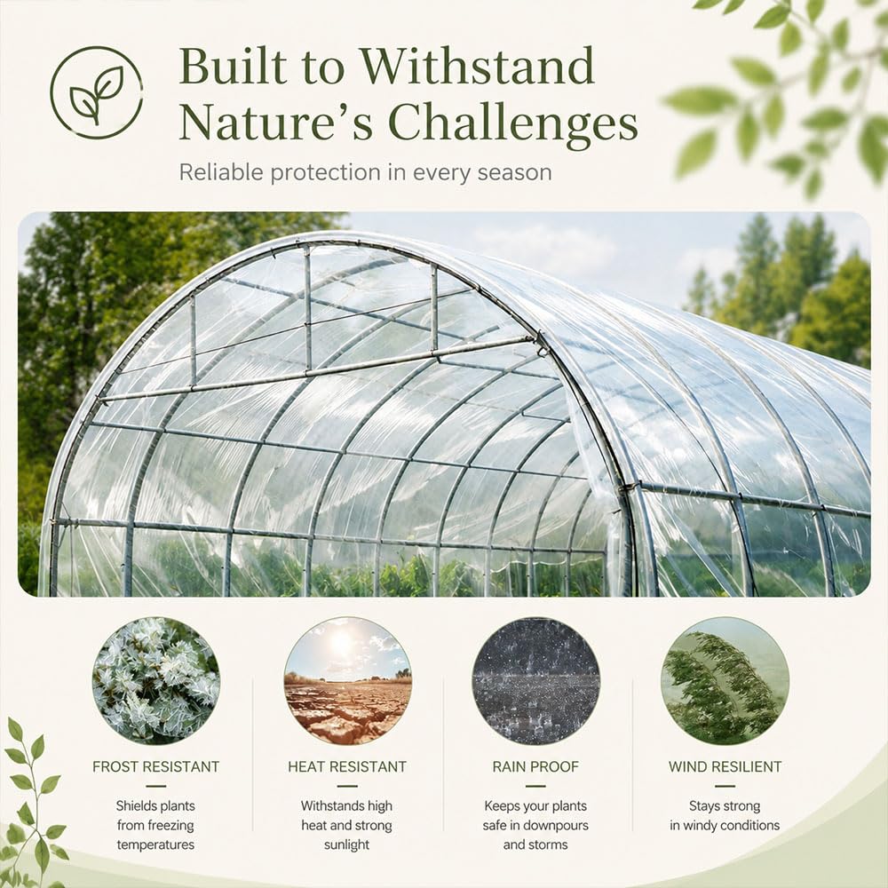 3X10M Gewächshausfolie Winterfest Transparent 5650g,Polyethylenfolie 0.2MM