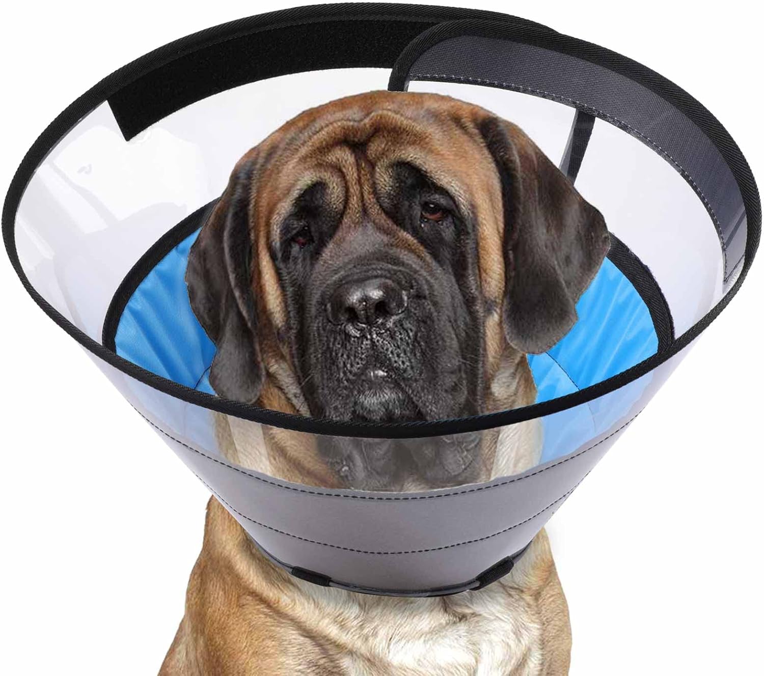 Manificent Dog Cone Alternatives for Dogs After Surgery
