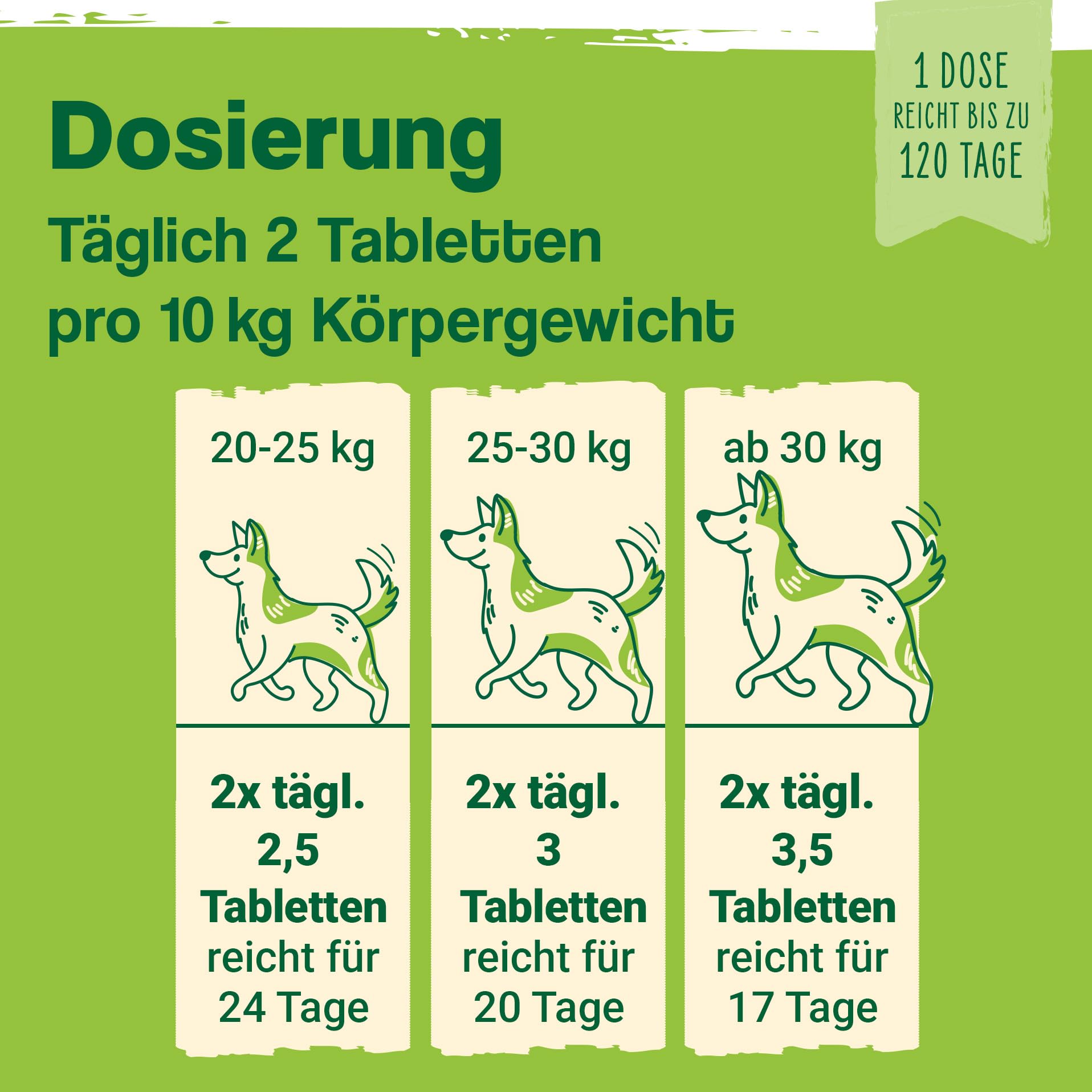 Ida Plus Darmbiotic – Probiotika zur Darmsanierung für den Hund - Darmflora aufbauen nach Durchfall - gesunde aktive Darmbakterien – Immunsystem – Regulierung Verdauung – 120 Tabletten