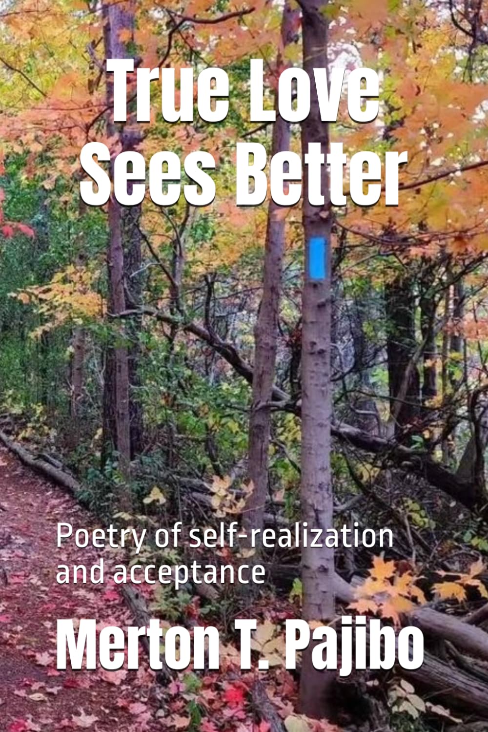 True Love Sees Better: Poetry of self-realization and acceptance