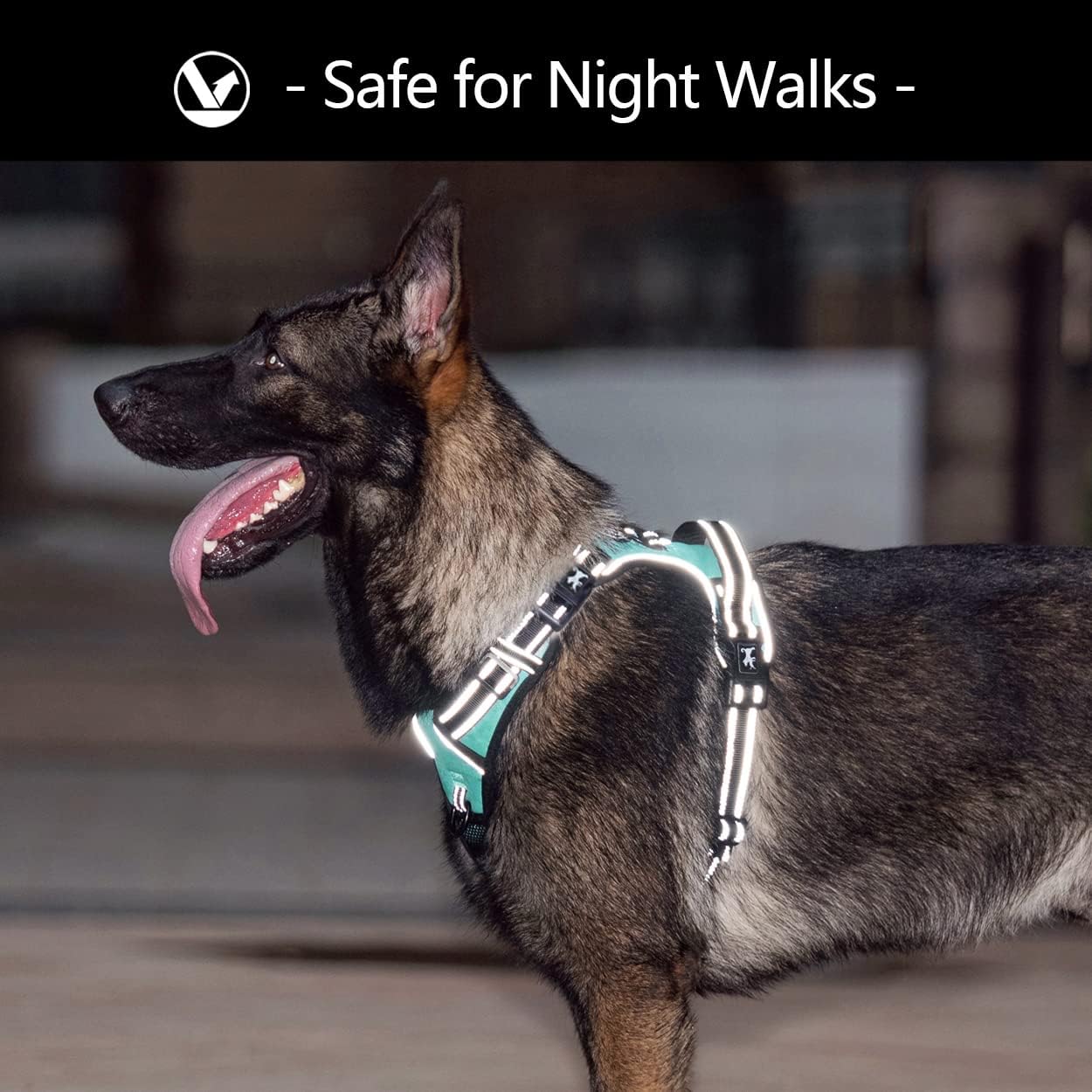 PoyPet No Pull Dog Harness with 4 Snap Buckles, Reflective with Front & Back 2 Leash Hooks and an Easy Control Handle [NO Need Go Over Dog’s Head](Mint Blue,L)